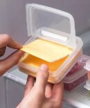 cheese storage box