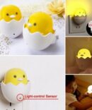 Chicken Night Bulb